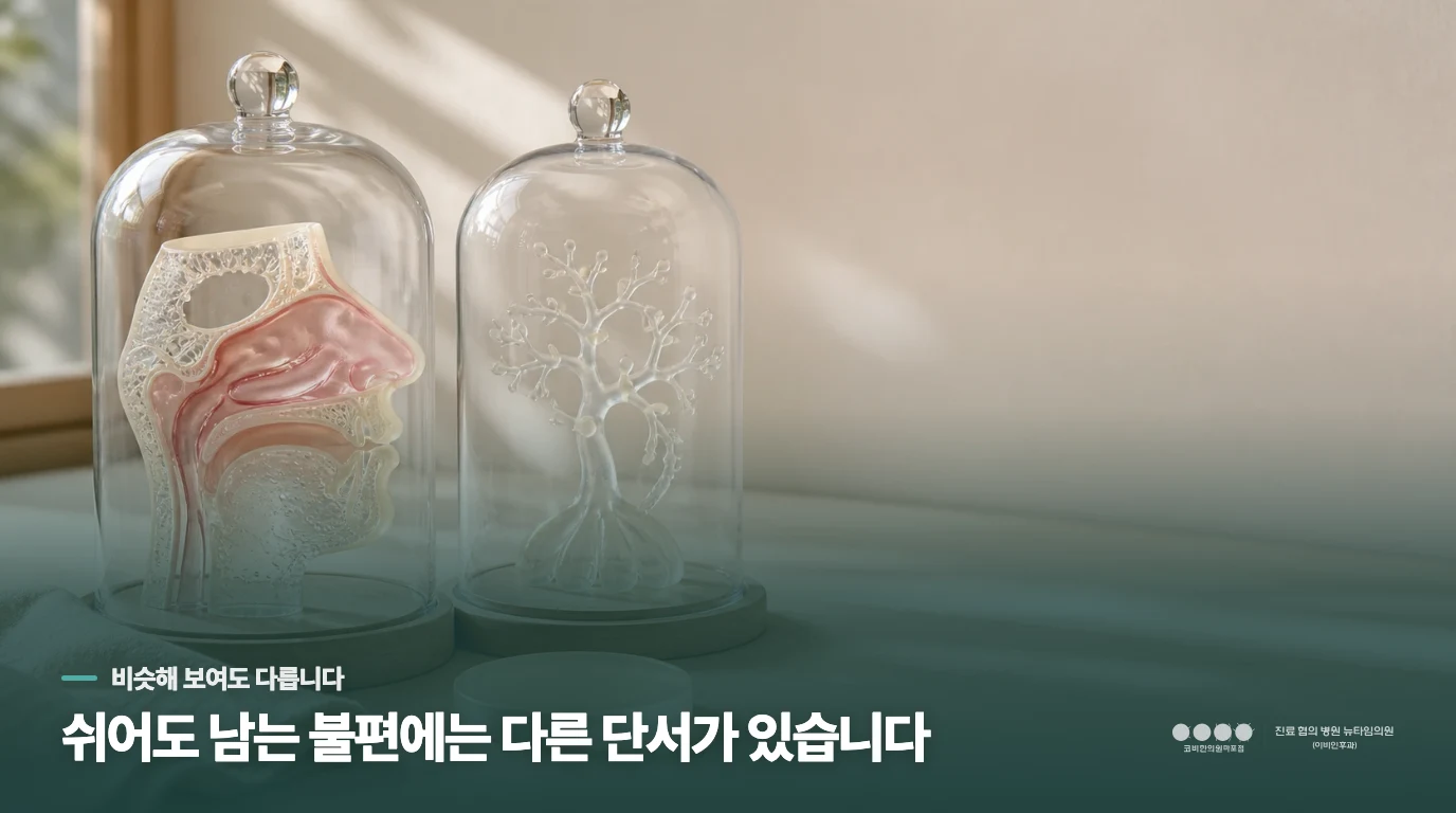 단순한 비염인지 아니면 몸 전체의 냉기가 심한 상태인지 어떻게 구분하나요?