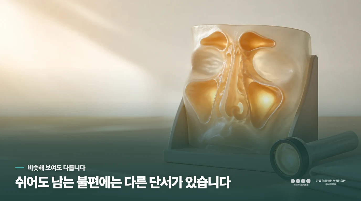 단순한 코감기와 만성적인 축농증을 구분하는 기준이 있나요?