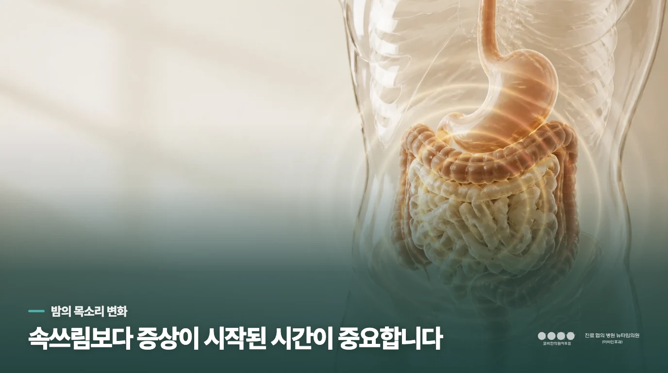 잠들기 전 목을 가다듬는 순간을 살펴보세요