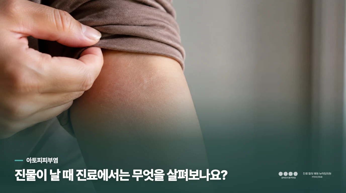 진물이 날 때 진료에서는 무엇을 살펴보나요?
