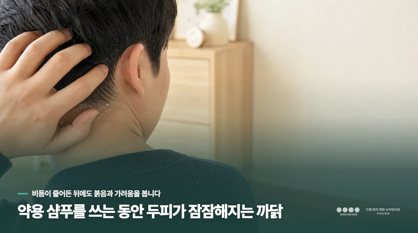 약용 샴푸를 쓰는 동안 두피가 잠잠해지는 까닭