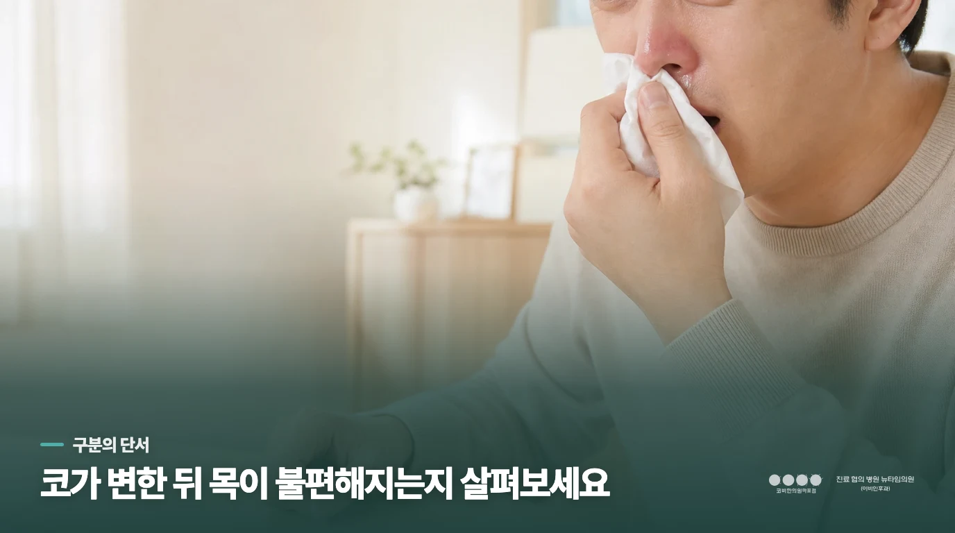 코 증상과 목 불편이 같이 움직이는지 보세요
