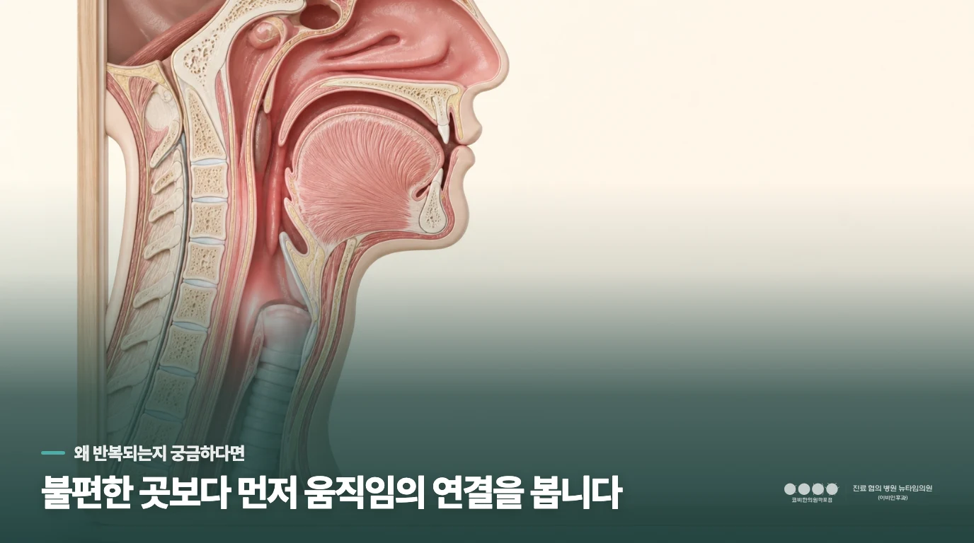 회의 시작 전, 목의 덩어리감이 더 선명해지는 이유