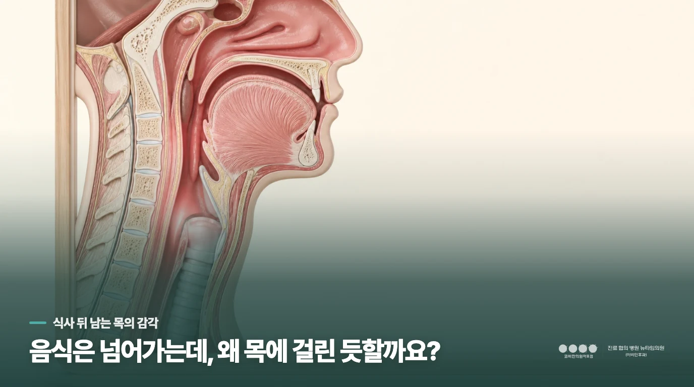 저녁을 다 먹었는데 목에 남은 듯한 느낌