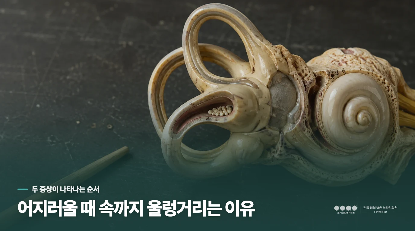 어지러울 때 속까지 울렁거리는 이유