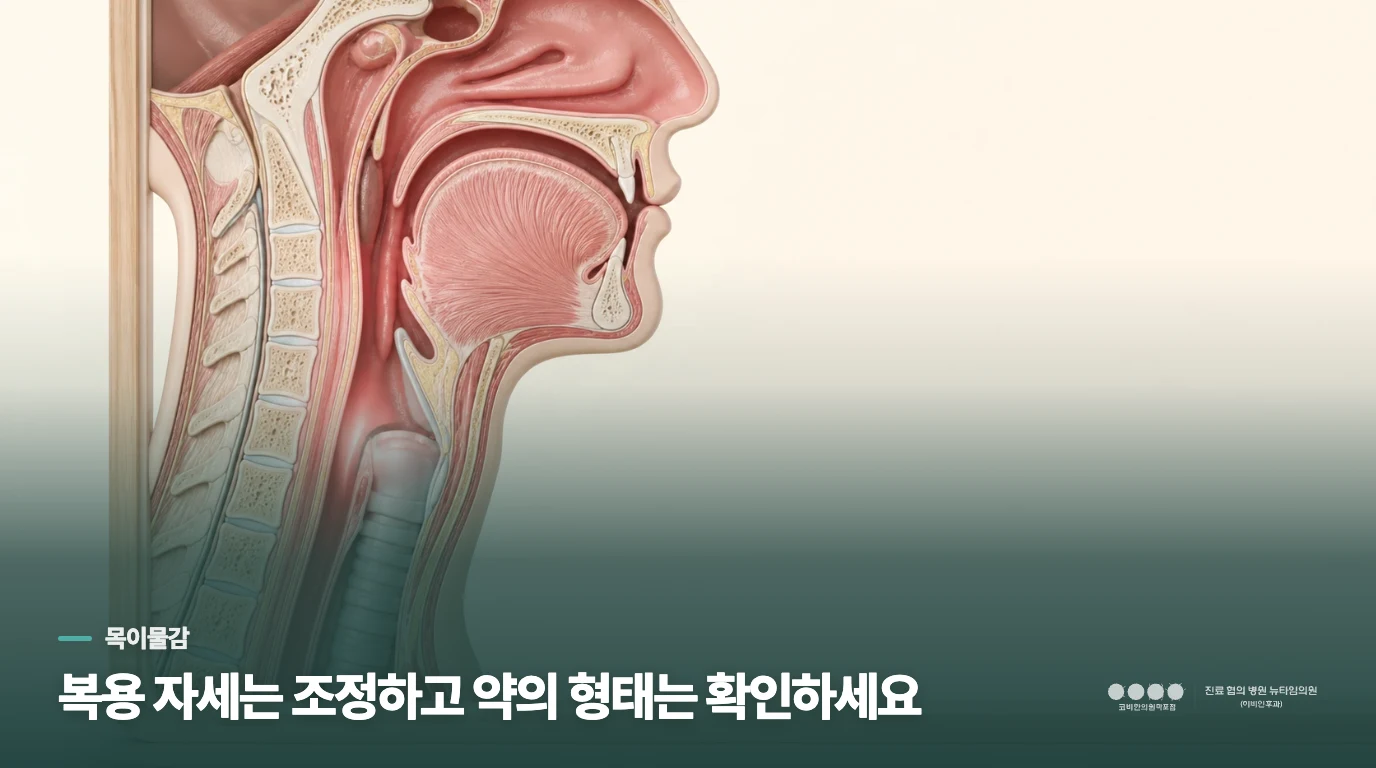 복용 자세는 조정하고 약의 형태는 확인하세요
